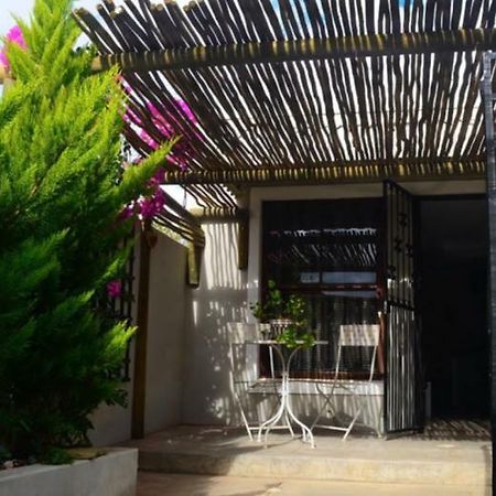 Peace Cottage مونتاغو المظهر الخارجي الصورة
